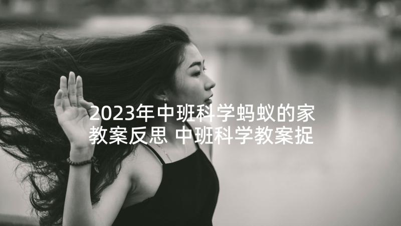 2023年中班科学蚂蚁的家教案反思 中班科学教案捉蚂蚁(通用5篇)