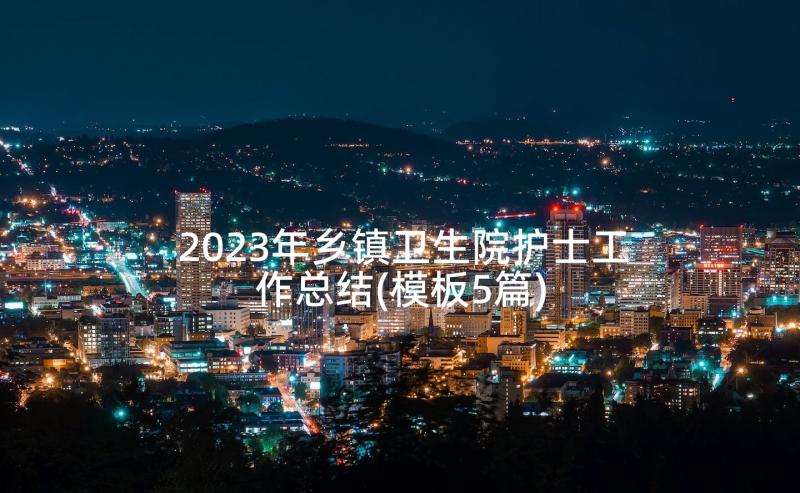 2023年乡镇卫生院护士工作总结(模板5篇)