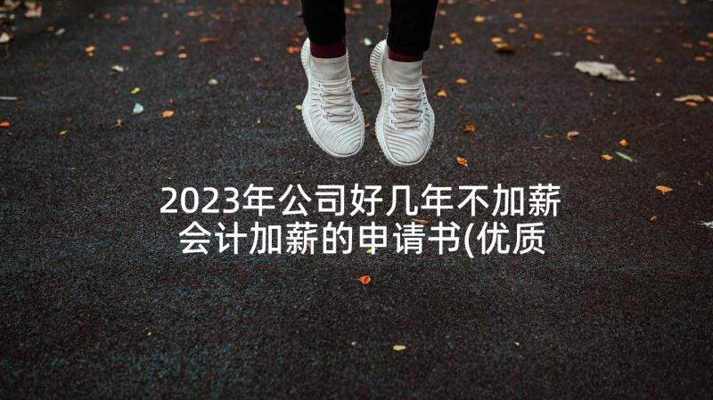 2023年公司好几年不加薪 会计加薪的申请书(优质5篇)