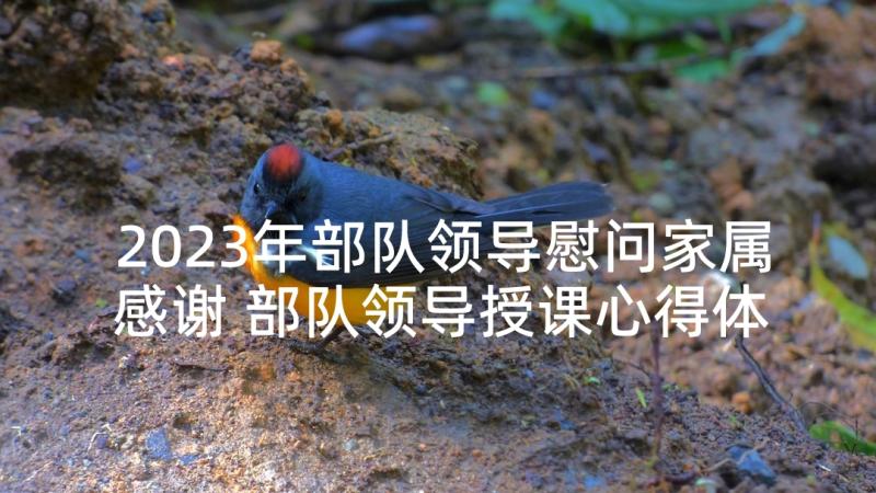 2023年部队领导慰问家属感谢 部队领导授课心得体会(精选7篇)