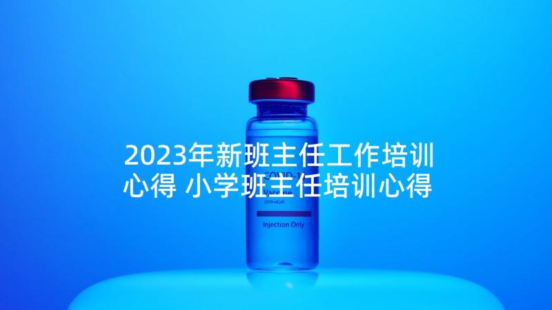 2023年新班主任工作培训心得 小学班主任培训心得体会总结(实用5篇)