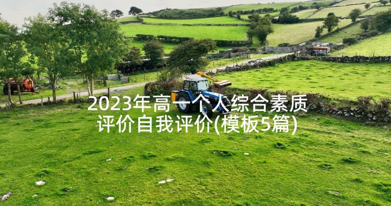 2023年高一个人综合素质评价自我评价(模板5篇)