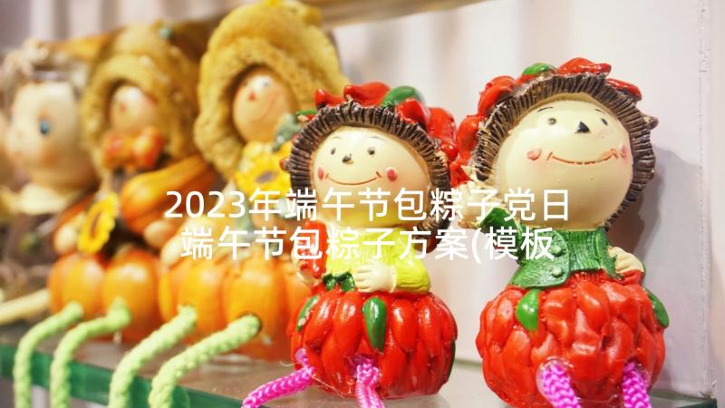 2023年端午节包粽子党日 端午节包粽子方案(模板9篇)