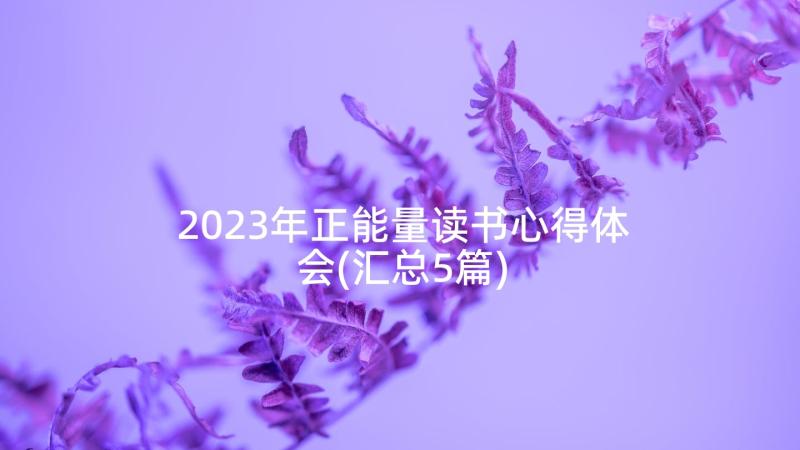 2023年正能量读书心得体会(汇总5篇)