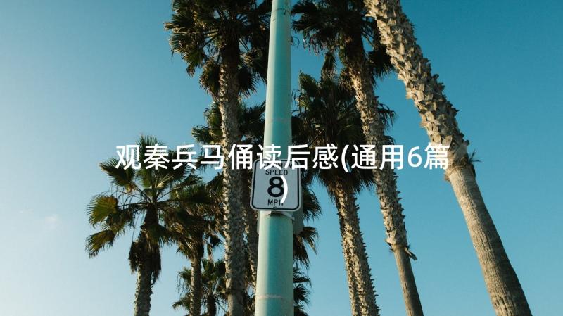 观秦兵马俑读后感(通用6篇)