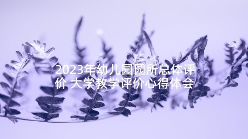 2023年幼儿园园所总体评价 大学教学评价心得体会总结(优质8篇)