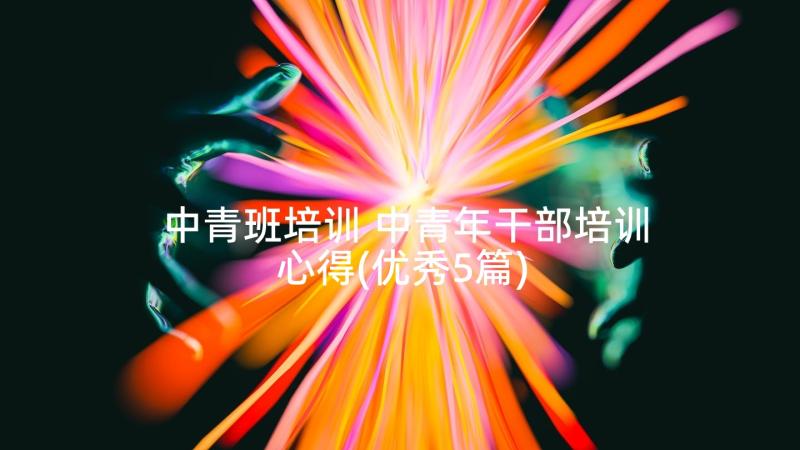 中青班培训 中青年干部培训心得(优秀5篇)