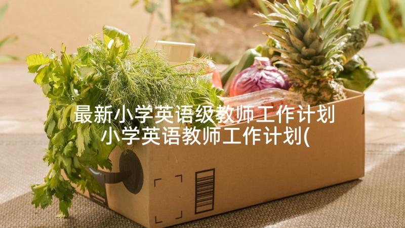 最新小学英语级教师工作计划 小学英语教师工作计划(精选5篇)