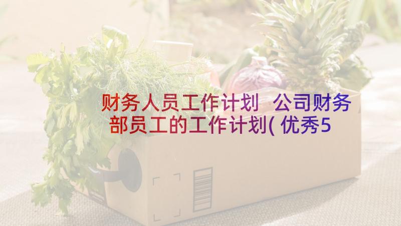 财务人员工作计划 公司财务部员工的工作计划(优秀5篇)