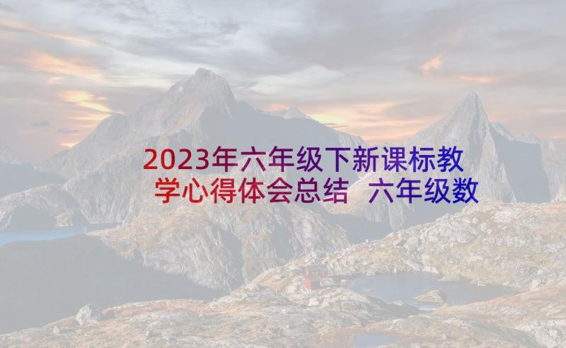 2023年六年级下新课标教学心得体会总结 六年级数学教学心得体会(优秀5篇)