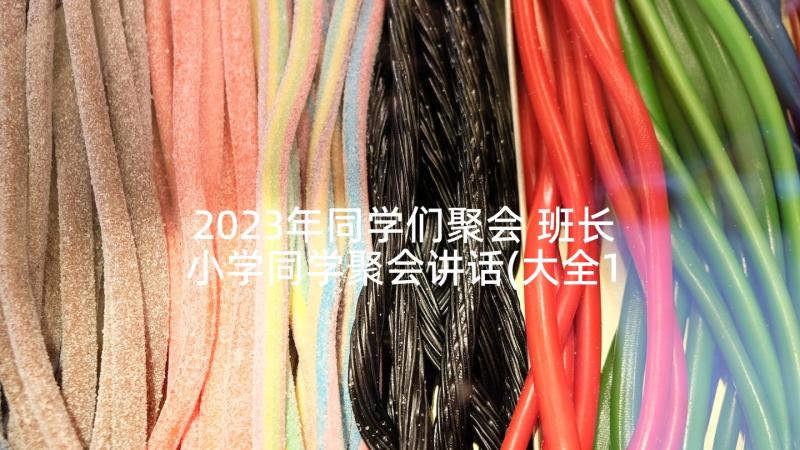 2023年同学们聚会 班长小学同学聚会讲话(大全10篇)