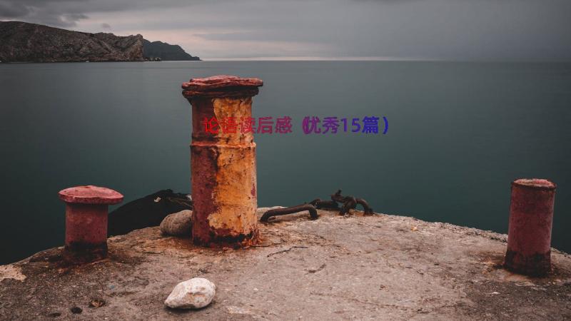 论语读后感（优秀15篇）