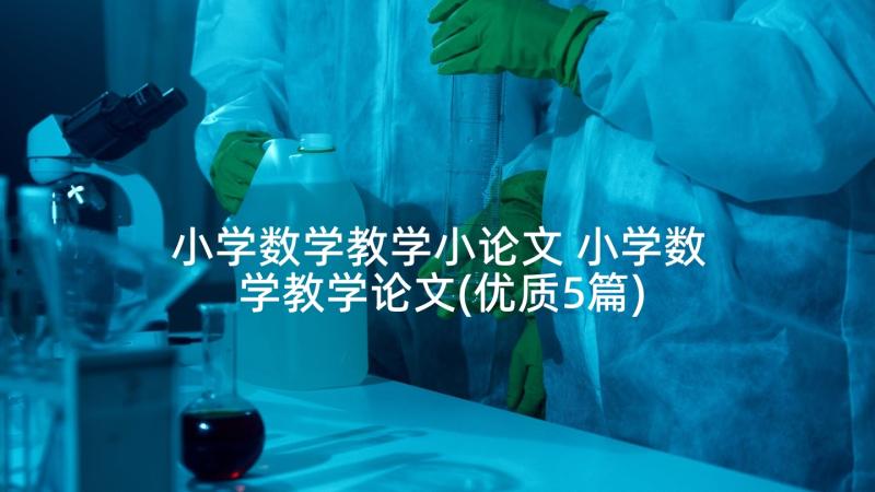 小学数学教学小论文 小学数学教学论文(优质5篇)