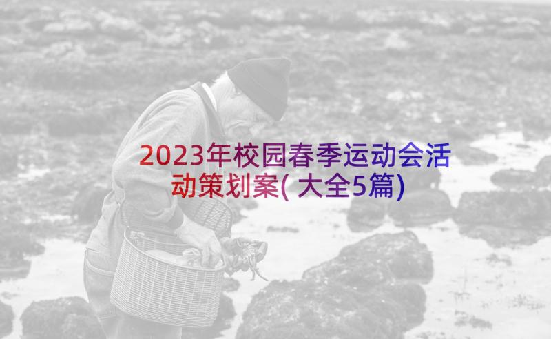 2023年校园春季运动会活动策划案(大全5篇)