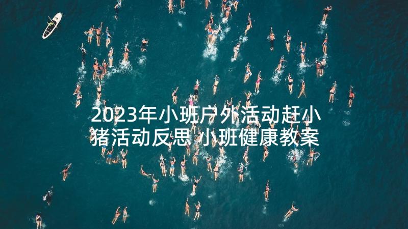 2023年小班户外活动赶小猪活动反思 小班健康教案小猪变干净了教案及教学反思(精选5篇)