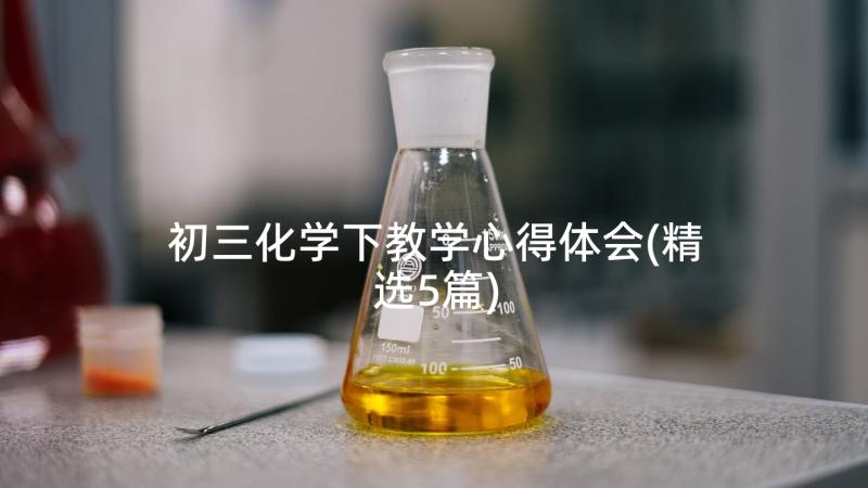 初三化学下教学心得体会(精选5篇)