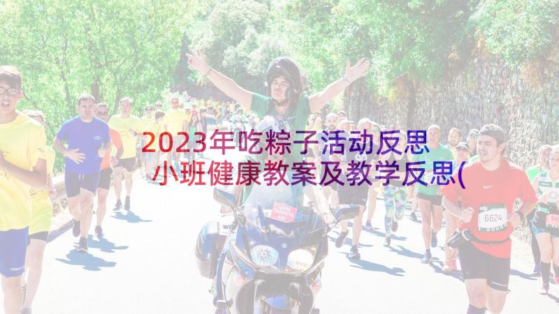2023年吃粽子活动反思 小班健康教案及教学反思(通用9篇)