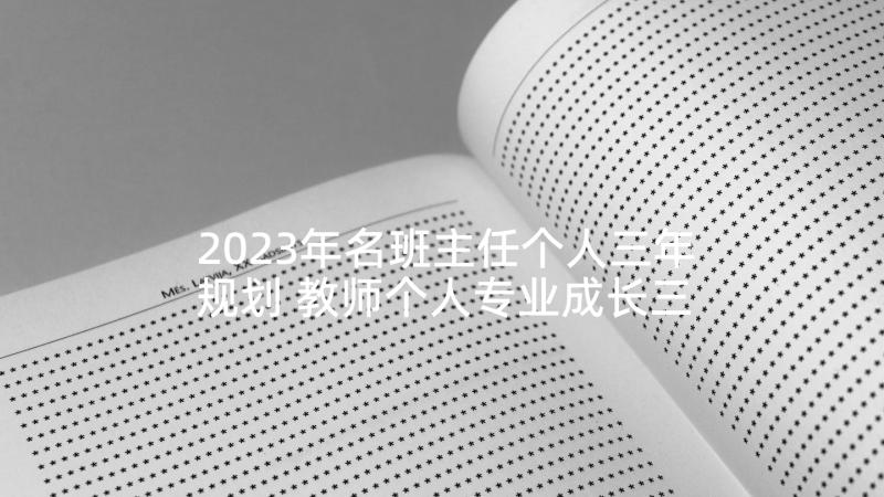 2023年名班主任个人三年规划 教师个人专业成长三年发展规划(精选5篇)