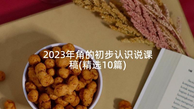 2023年角的初步认识说课稿(精选10篇)