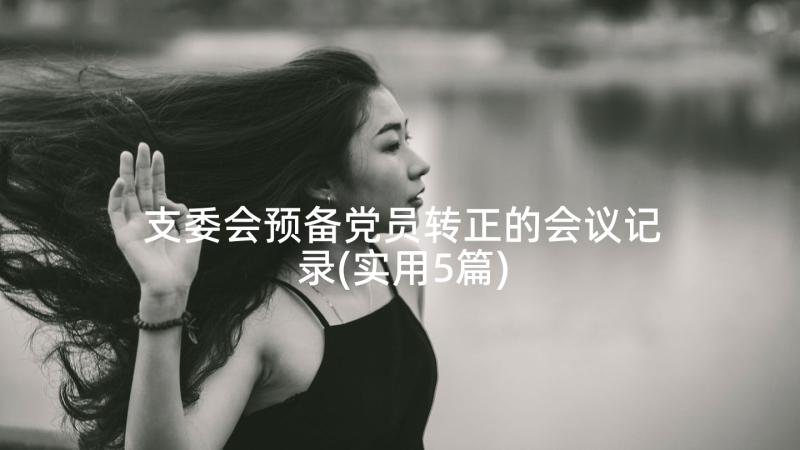 支委会预备党员转正的会议记录(实用5篇)