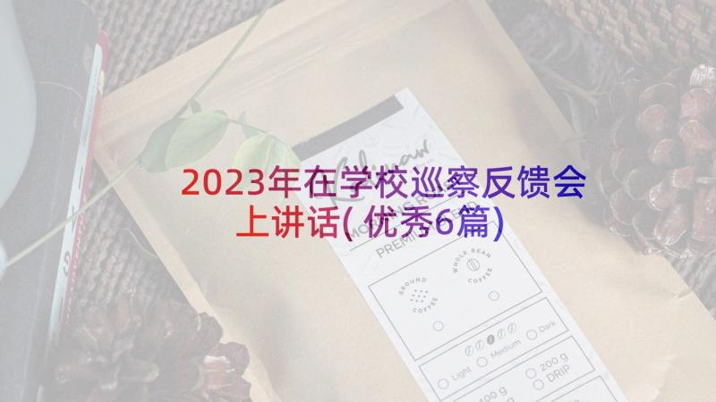 2023年在学校巡察反馈会上讲话(优秀6篇)