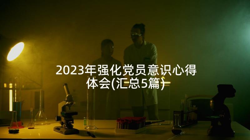 2023年强化党员意识心得体会(汇总5篇)