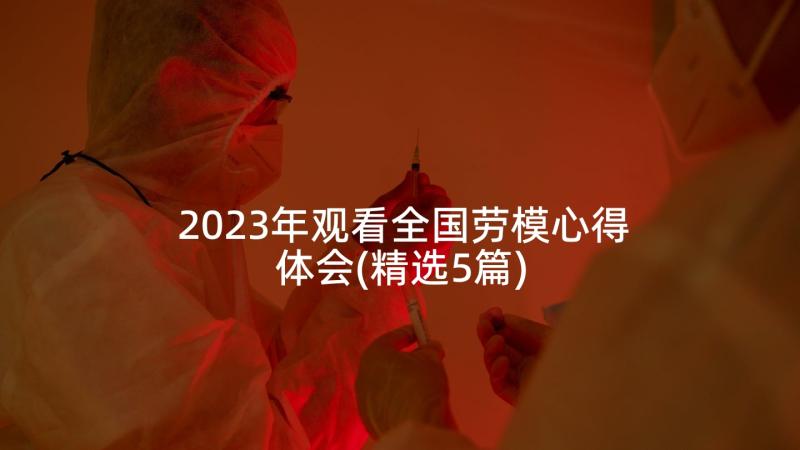 2023年观看全国劳模心得体会(精选5篇)