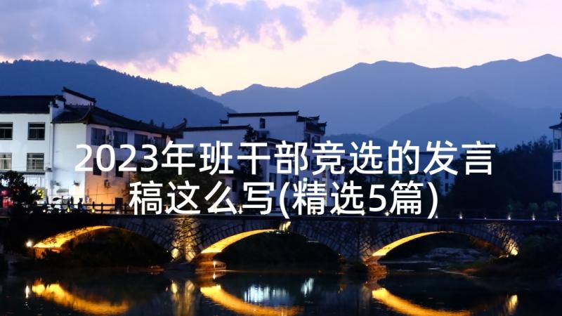 2023年班干部竞选的发言稿这么写(精选5篇)