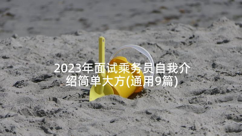 2023年面试乘务员自我介绍简单大方(通用9篇)