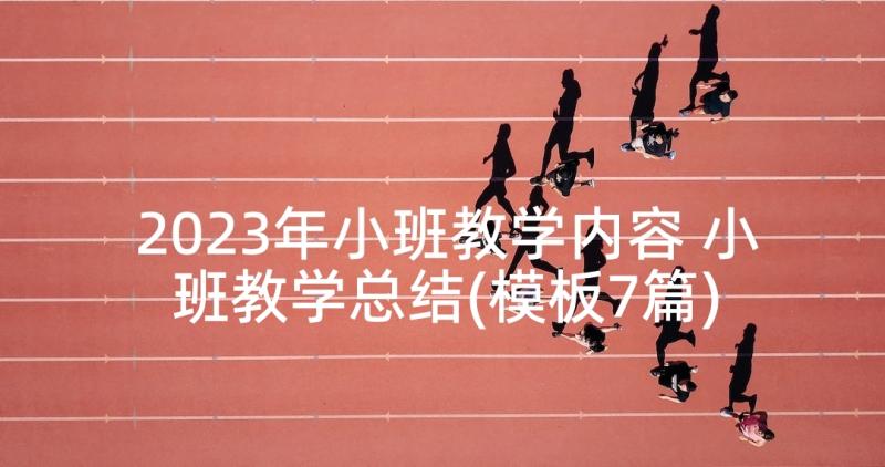 2023年小班教学内容 小班教学总结(模板7篇)