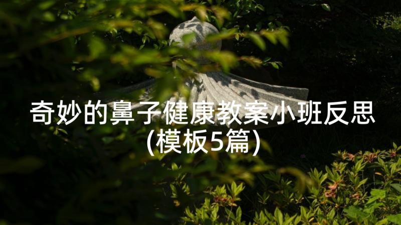 奇妙的鼻子健康教案小班反思(模板5篇)