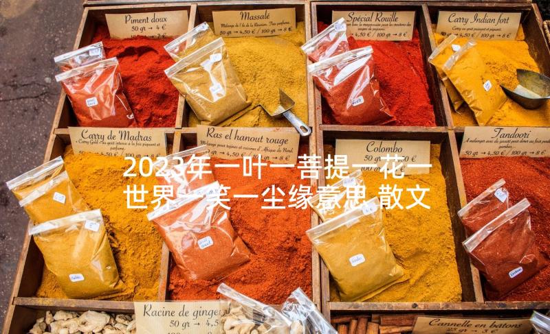 2023年一叶一菩提一花一世界一笑一尘缘意思 散文一花一世界一叶一菩提(大全5篇)