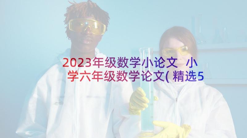 2023年级数学小论文 小学六年级数学论文(精选5篇)