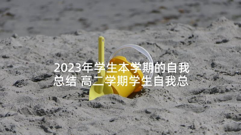 2023年学生本学期的自我总结 高二学期学生自我总结(优质8篇)