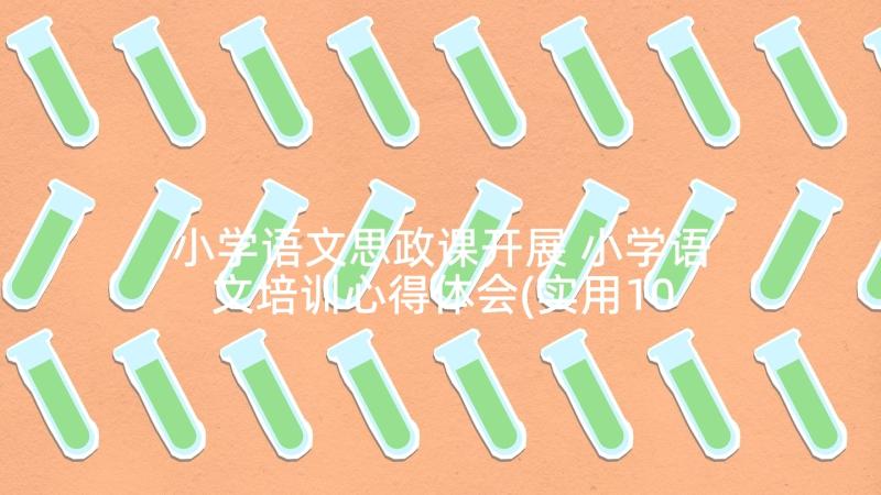 小学语文思政课开展 小学语文培训心得体会(实用10篇)