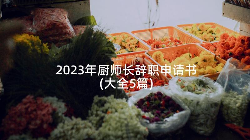 2023年厨师长辞职申请书(大全5篇)
