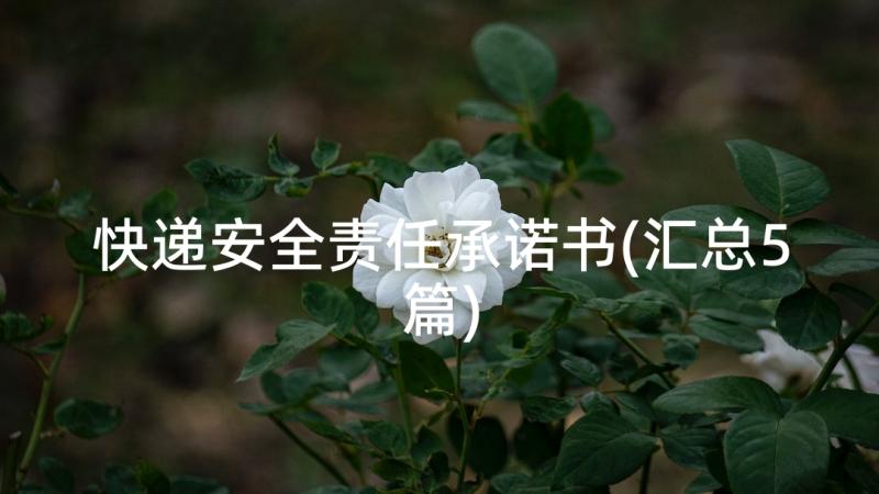 快递安全责任承诺书(汇总5篇)