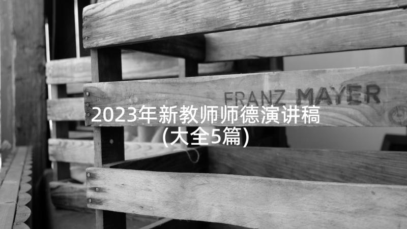 2023年新教师师德演讲稿(大全5篇)