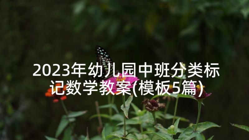 2023年幼儿园中班分类标记数学教案(模板5篇)