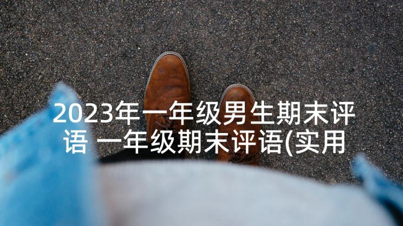 2023年一年级男生期末评语 一年级期末评语(实用7篇)