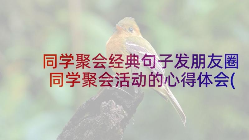 同学聚会经典句子发朋友圈 同学聚会活动的心得体会(精选8篇)