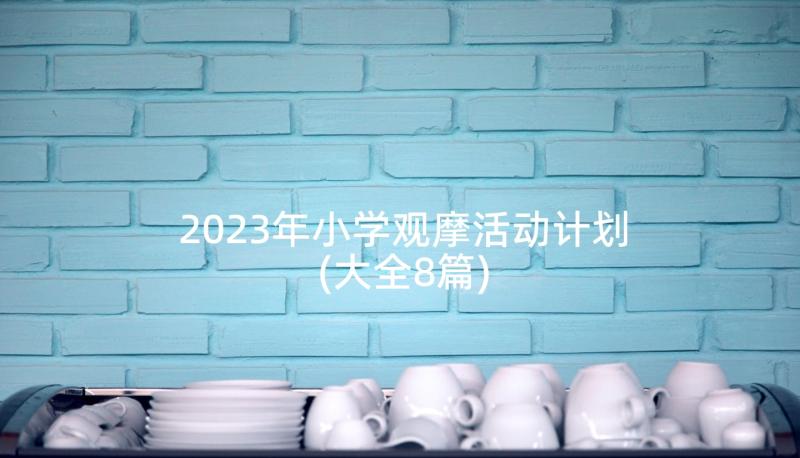 2023年小学观摩活动计划(大全8篇)