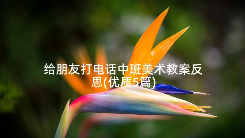 给朋友打电话中班美术教案反思(优质5篇)