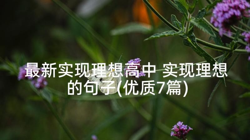 最新实现理想高中 实现理想的句子(优质7篇)