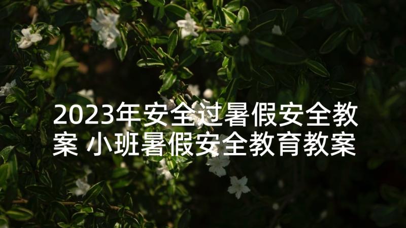 2023年安全过暑假安全教案 小班暑假安全教育教案(汇总9篇)