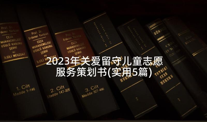 2023年关爱留守儿童志愿服务策划书(实用5篇)