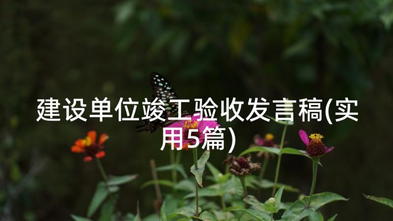 建设单位竣工验收发言稿(实用5篇)