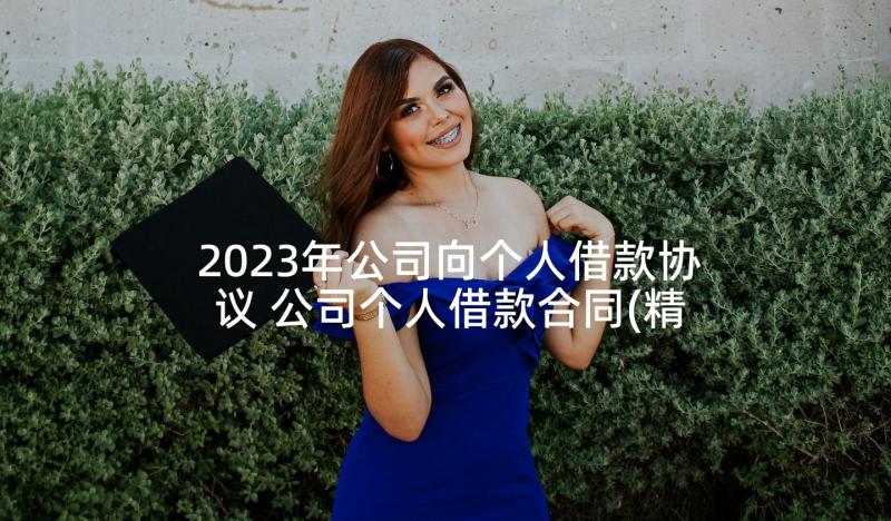 2023年公司向个人借款协议 公司个人借款合同(精选6篇)