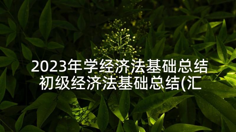 2023年学经济法基础总结 初级经济法基础总结(汇总5篇)