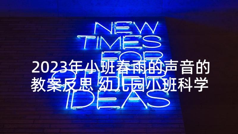 2023年小班春雨的声音的教案反思 幼儿园小班科学教案好听的声音含反思(通用5篇)